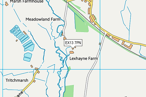 EX13 7PN map - OS VectorMap District (Ordnance Survey) EX13 7PN map - OS VectorMap District (Ordnance Survey)