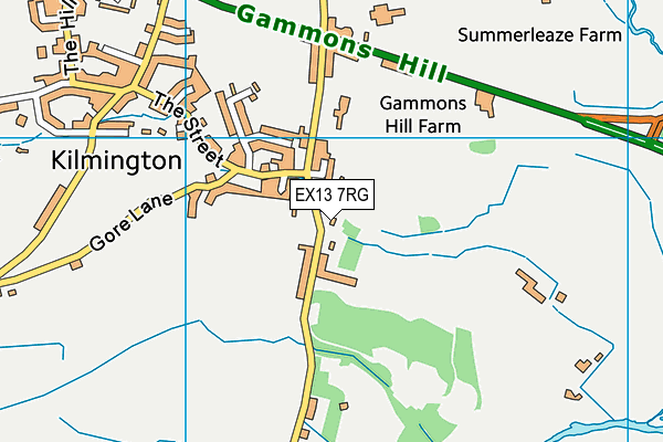 EX13 7RG map - OS VectorMap District (Ordnance Survey) EX13 7RG map - OS VectorMap District (Ordnance Survey)