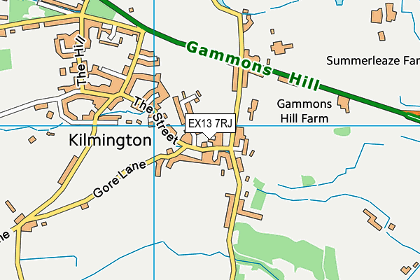EX13 7RJ map - OS VectorMap District (Ordnance Survey) EX13 7RJ map - OS VectorMap District (Ordnance Survey)