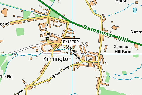 EX13 7RP map - OS VectorMap District (Ordnance Survey) EX13 7RP map - OS VectorMap District (Ordnance Survey)