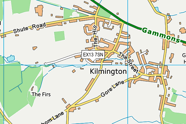 EX13 7SN map - OS VectorMap District (Ordnance Survey) EX13 7SN map - OS VectorMap District (Ordnance Survey)