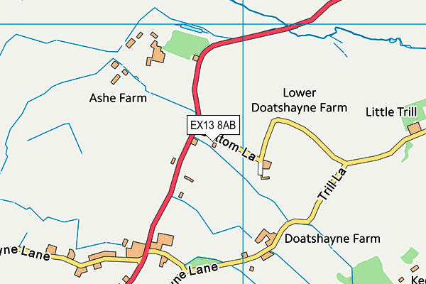 EX13 8AB map - OS VectorMap District (Ordnance Survey) EX13 8AB map - OS VectorMap District (Ordnance Survey)
