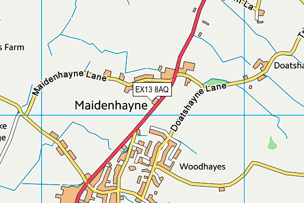 EX13 8AQ map - OS VectorMap District (Ordnance Survey)