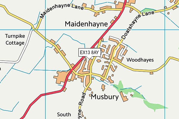 EX13 8AY map - OS VectorMap District (Ordnance Survey) EX13 8AY map - OS VectorMap District (Ordnance Survey)