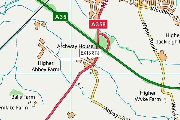 EX13 8TJ map - OS VectorMap District (Ordnance Survey) EX13 8TJ map - OS VectorMap District (Ordnance Survey)