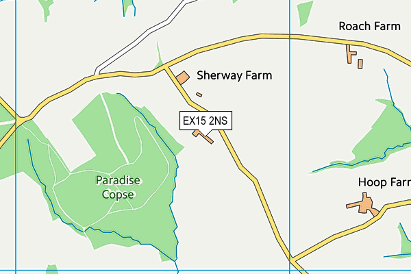 EX15 2NS map - OS VectorMap District (Ordnance Survey) EX15 2NS map - OS VectorMap District (Ordnance Survey)