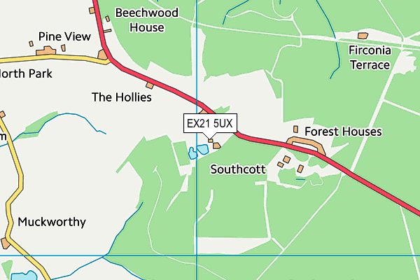 EX21 5UX map - OS VectorMap District (Ordnance Survey) EX21 5UX map - OS VectorMap District (Ordnance Survey)