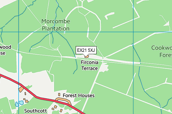EX21 5XJ map - OS VectorMap District (Ordnance Survey) EX21 5XJ map - OS VectorMap District (Ordnance Survey)