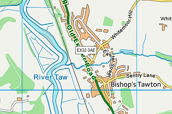 EX32 0AE map - OS VectorMap District (Ordnance Survey)