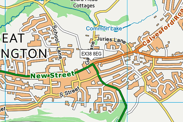 EX38 8EG map - OS VectorMap District (Ordnance Survey) EX38 8EG map - OS VectorMap District (Ordnance Survey)