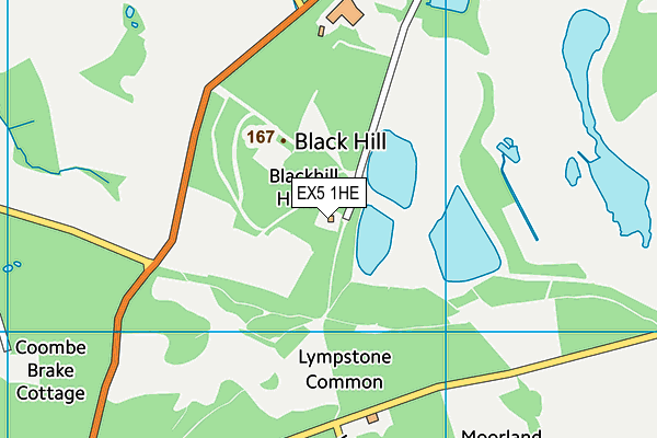 EX5 1HE map - OS VectorMap District (Ordnance Survey) EX5 1HE map - OS VectorMap District (Ordnance Survey)