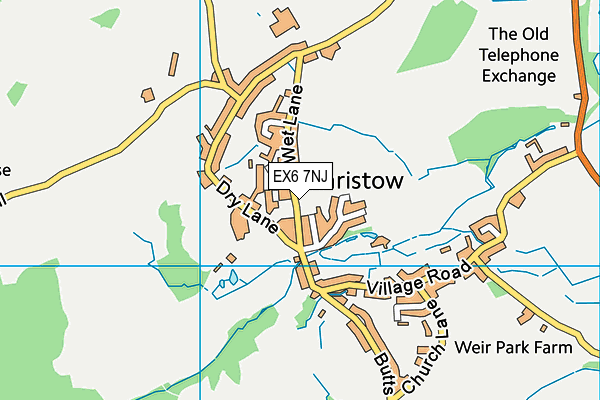 EX6 7NJ map - OS VectorMap District (Ordnance Survey) EX6 7NJ map - OS VectorMap District (Ordnance Survey)