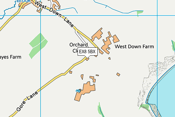 EX8 5BX map - OS VectorMap District (Ordnance Survey) EX8 5BX map - OS VectorMap District (Ordnance Survey)