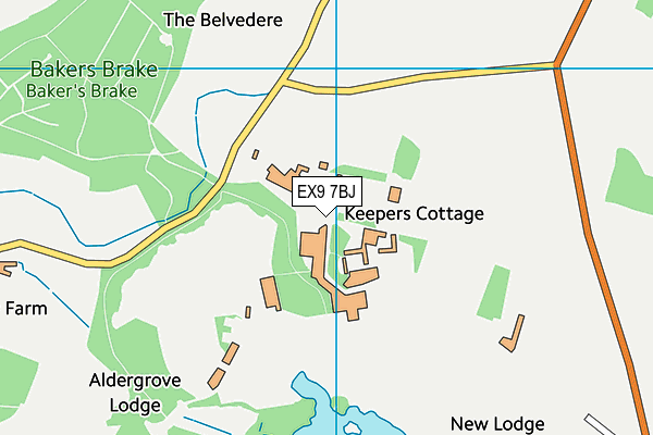 EX9 7BJ map - OS VectorMap District (Ordnance Survey) EX9 7BJ map - OS VectorMap District (Ordnance Survey)