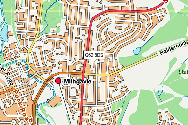 G62 8DS map - OS VectorMap District (Ordnance Survey) G62 8DS map - OS VectorMap District (Ordnance Survey)