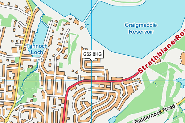 G62 8HG map - OS VectorMap District (Ordnance Survey) G62 8HG map - OS VectorMap District (Ordnance Survey)