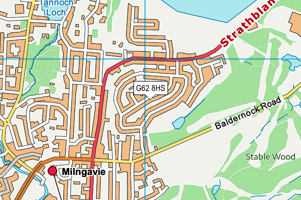 G62 8HS map - OS VectorMap District (Ordnance Survey) G62 8HS map - OS VectorMap District (Ordnance Survey)