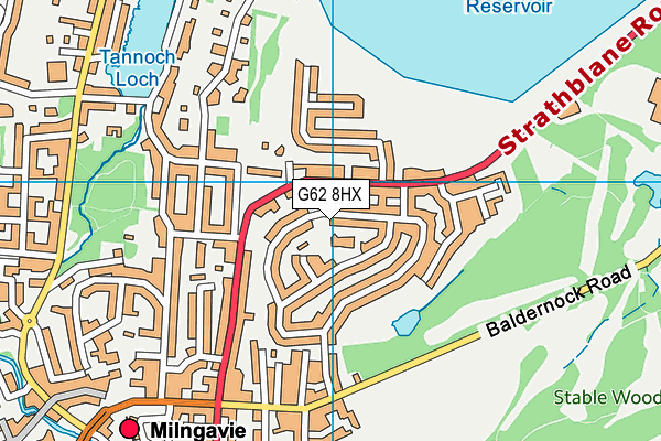 G62 8HX map - OS VectorMap District (Ordnance Survey) G62 8HX map - OS VectorMap District (Ordnance Survey)