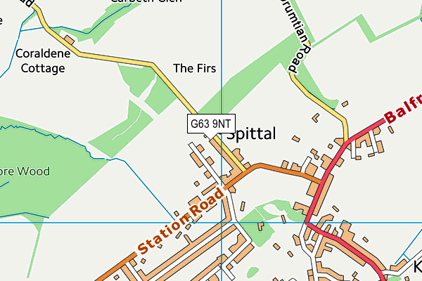 G63 9NT map - OS VectorMap District (Ordnance Survey) G63 9NT map - OS VectorMap District (Ordnance Survey)