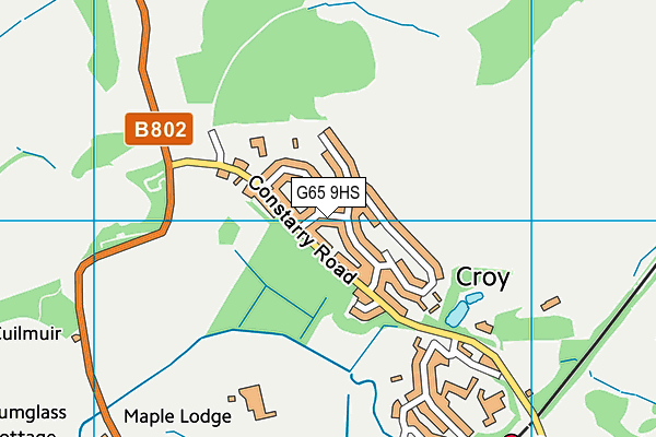G65 9HS map - OS VectorMap District (Ordnance Survey) G65 9HS map - OS VectorMap District (Ordnance Survey)