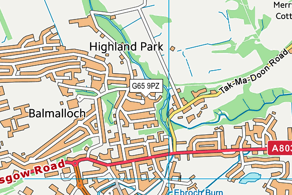 G65 9PZ map - OS VectorMap District (Ordnance Survey) G65 9PZ map - OS VectorMap District (Ordnance Survey)