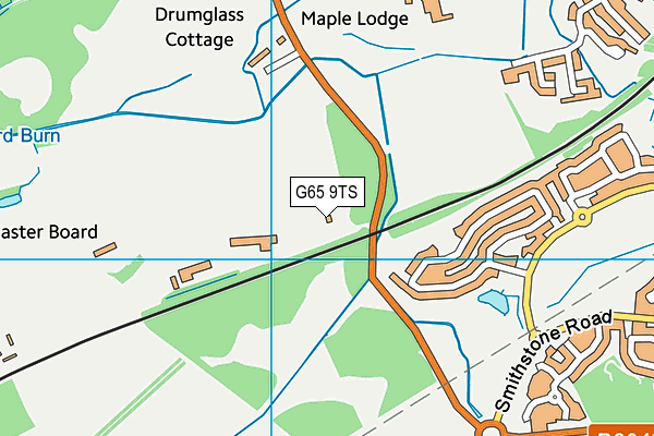 G65 9TS map - OS VectorMap District (Ordnance Survey) G65 9TS map - OS VectorMap District (Ordnance Survey)