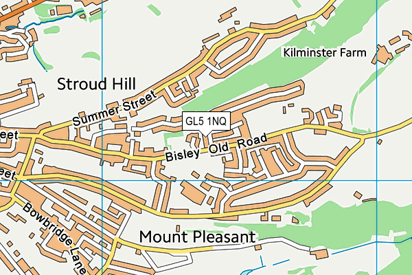 GL5 1NQ map - OS VectorMap District (Ordnance Survey) GL5 1NQ map - OS VectorMap District (Ordnance Survey)