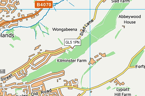 GL5 1PN map - OS VectorMap District (Ordnance Survey) GL5 1PN map - OS VectorMap District (Ordnance Survey)
