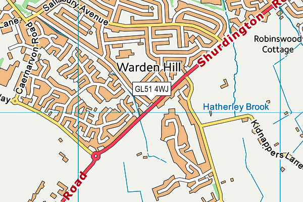 GL51 4WJ map - OS VectorMap District (Ordnance Survey) GL51 4WJ map - OS VectorMap District (Ordnance Survey)