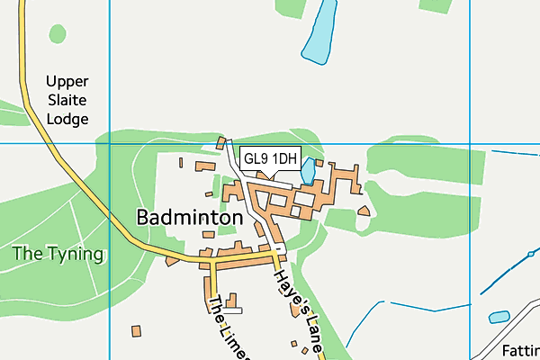 GL9 1DH map - OS VectorMap District (Ordnance Survey) GL9 1DH map - OS VectorMap District (Ordnance Survey)