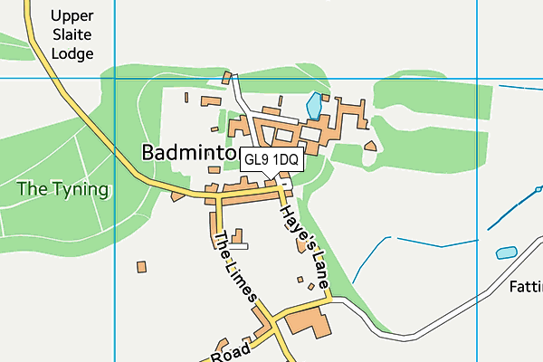 GL9 1DQ map - OS VectorMap District (Ordnance Survey) GL9 1DQ map - OS VectorMap District (Ordnance Survey)