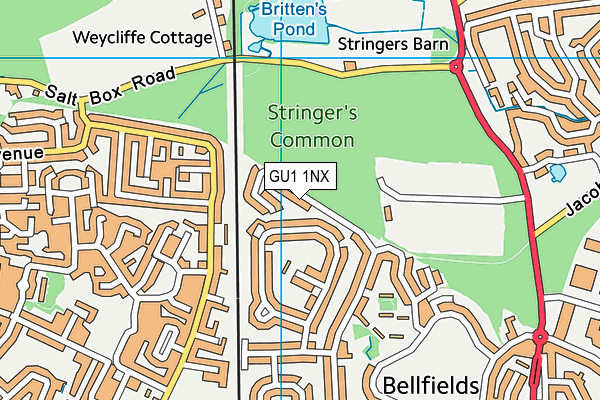 GU1 1NX map - OS VectorMap District (Ordnance Survey)
