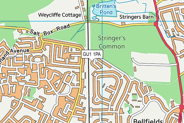GU1 1PA map - OS VectorMap District (Ordnance Survey) GU1 1PA map - OS VectorMap District (Ordnance Survey)