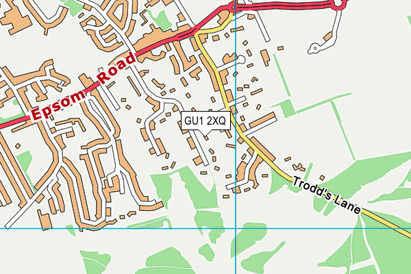 GU1 2XQ map - OS VectorMap District (Ordnance Survey) GU1 2XQ map - OS VectorMap District (Ordnance Survey)