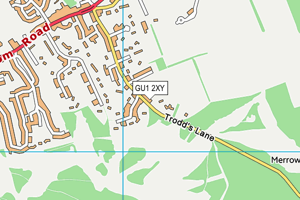 GU1 2XY map - OS VectorMap District (Ordnance Survey) GU1 2XY map - OS VectorMap District (Ordnance Survey)