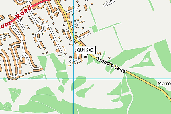GU1 2XZ map - OS VectorMap District (Ordnance Survey) GU1 2XZ map - OS VectorMap District (Ordnance Survey)