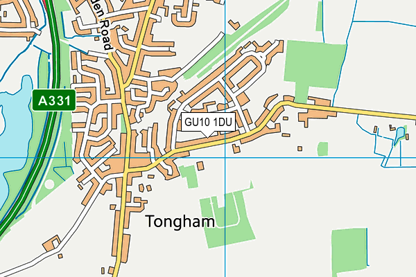 GU10 1DU map - OS VectorMap District (Ordnance Survey)