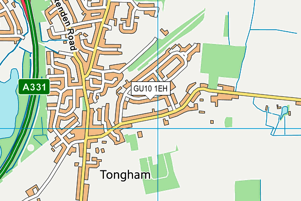 GU10 1EH map - OS VectorMap District (Ordnance Survey) GU10 1EH map - OS VectorMap District (Ordnance Survey)