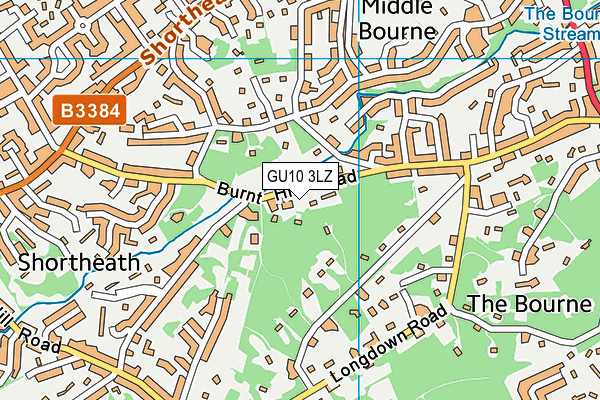 GU10 3LZ map - OS VectorMap District (Ordnance Survey)