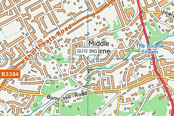 GU10 3NG map - OS VectorMap District (Ordnance Survey) GU10 3NG map - OS VectorMap District (Ordnance Survey)