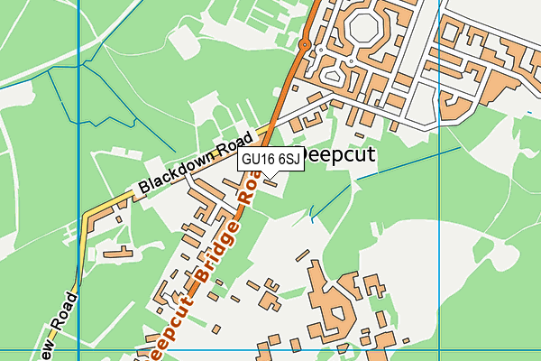 GU16 6SJ map - OS VectorMap District (Ordnance Survey) GU16 6SJ map - OS VectorMap District (Ordnance Survey)