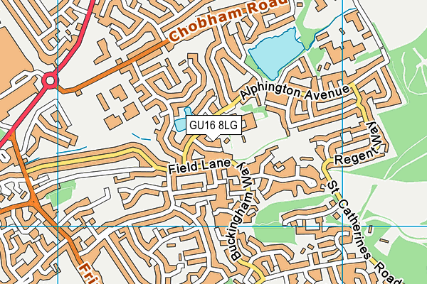 GU16 8LG map - OS VectorMap District (Ordnance Survey) GU16 8LG map - OS VectorMap District (Ordnance Survey)
