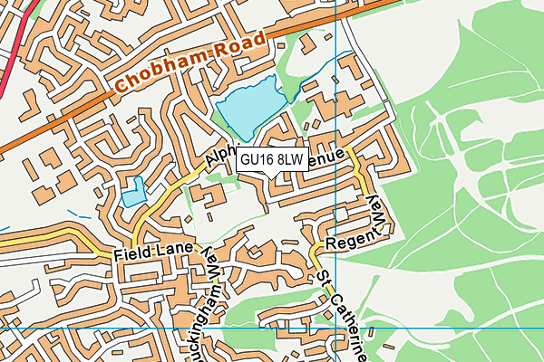 GU16 8LW map - OS VectorMap District (Ordnance Survey) GU16 8LW map - OS VectorMap District (Ordnance Survey)