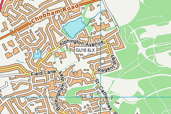 GU16 8LX map - OS VectorMap District (Ordnance Survey) GU16 8LX map - OS VectorMap District (Ordnance Survey)