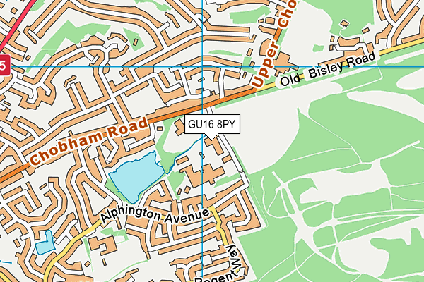 GU16 8PY map - OS VectorMap District (Ordnance Survey) GU16 8PY map - OS VectorMap District (Ordnance Survey)