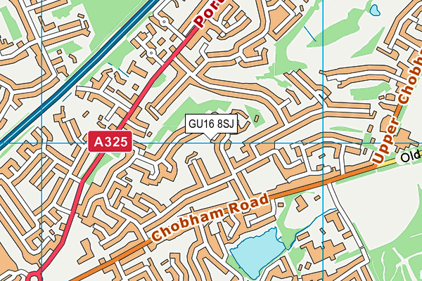 GU16 8SJ map - OS VectorMap District (Ordnance Survey)