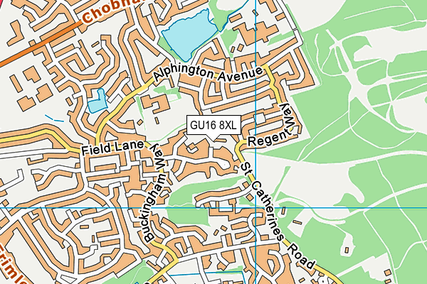 GU16 8XL map - OS VectorMap District (Ordnance Survey) GU16 8XL map - OS VectorMap District (Ordnance Survey)