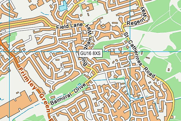 GU16 8XS map - OS VectorMap District (Ordnance Survey) GU16 8XS map - OS VectorMap District (Ordnance Survey)