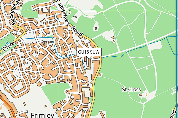 GU16 9UW map - OS VectorMap District (Ordnance Survey) GU16 9UW map - OS VectorMap District (Ordnance Survey)