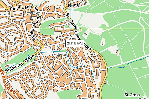 GU16 9YJ map - OS VectorMap District (Ordnance Survey) GU16 9YJ map - OS VectorMap District (Ordnance Survey)